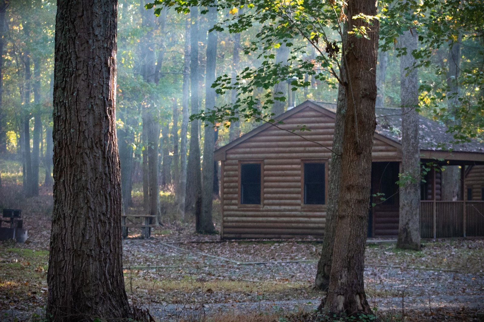 A cabin in the trees with light coming through the forest